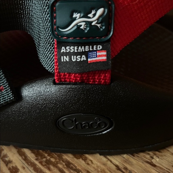 Chaco Mens Z1 Classic Sandal Mountain Gecko Size 10 NEW - Picture 2 of 7